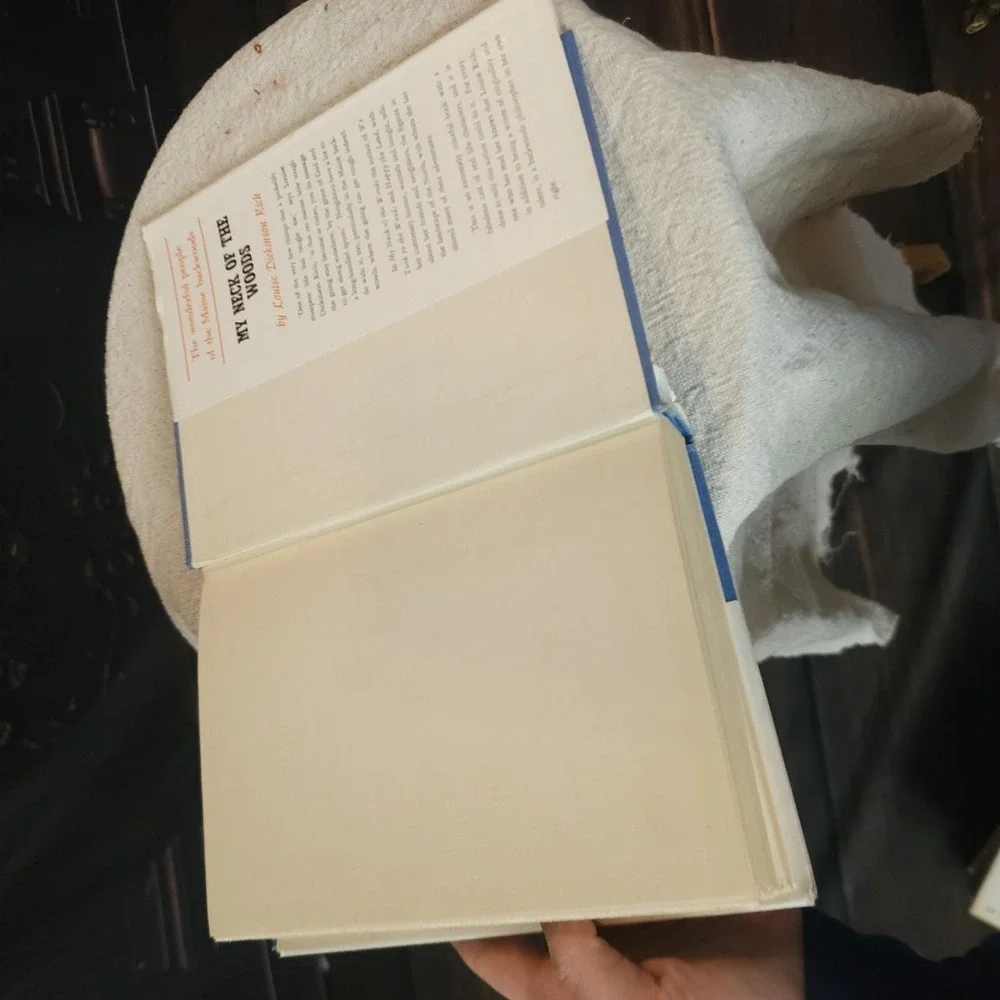 Only Parent Louise Dickinson Rich First Edition 1953 Hardcover Dust Jacket Book